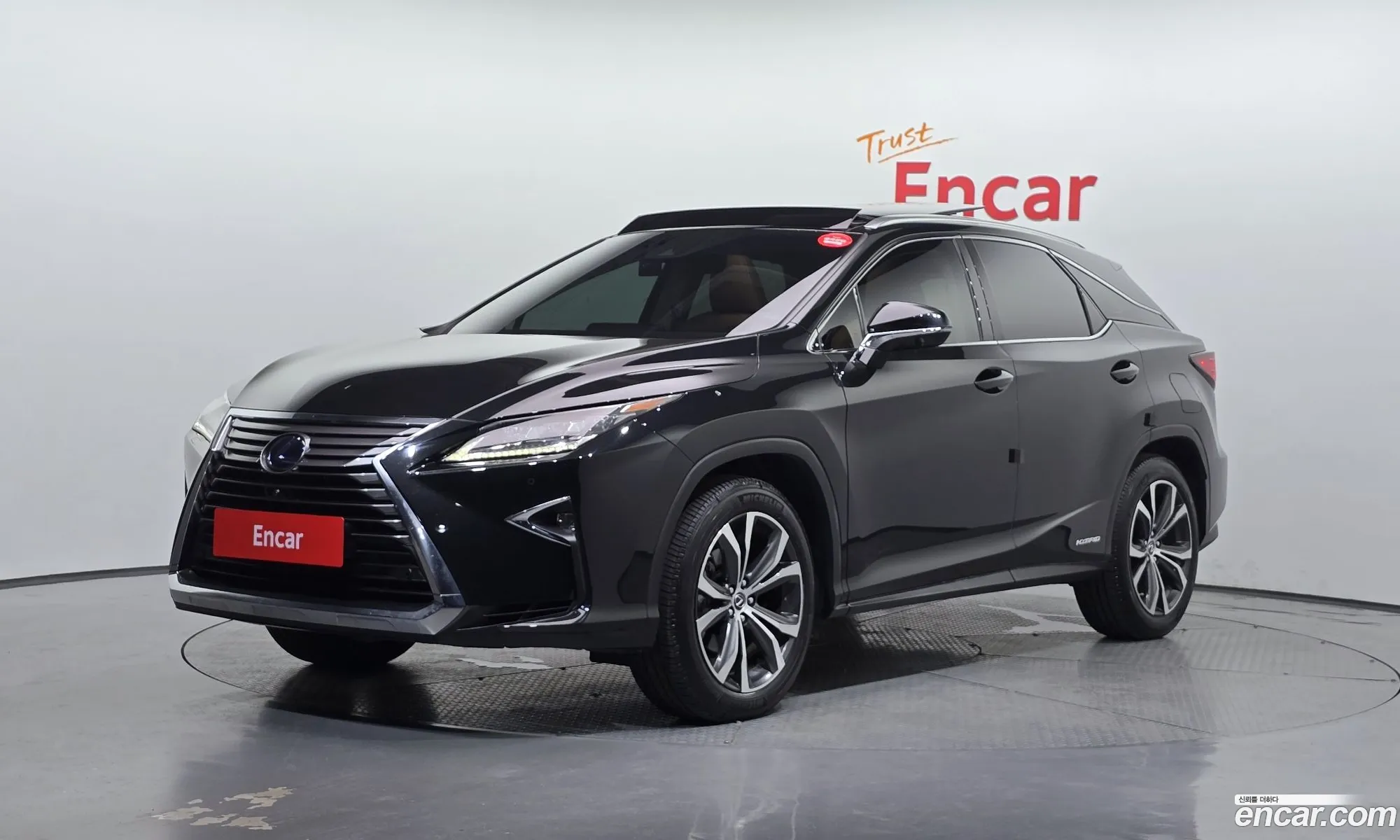 Lexus RX450h 2019 — 14
