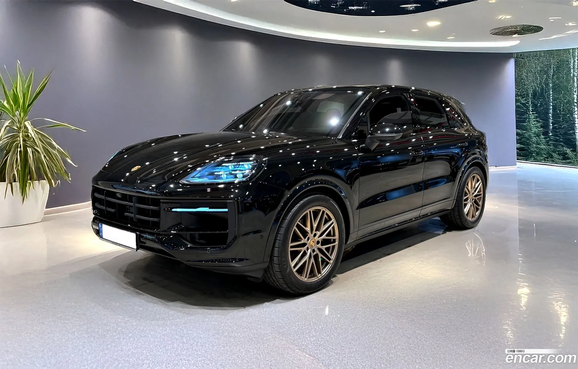 Porsche Cayenne 2024 — 18