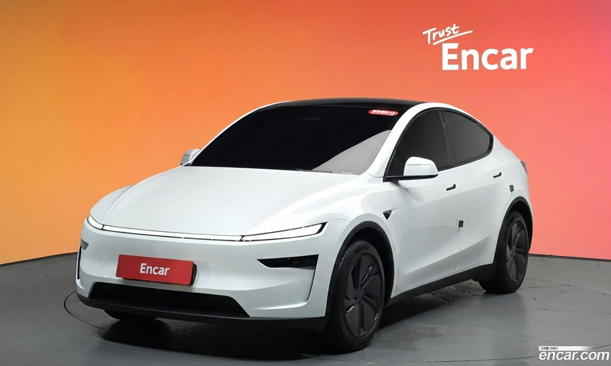Tesla Model Y 2025 LRWYGCFJ6SC051971 — 28