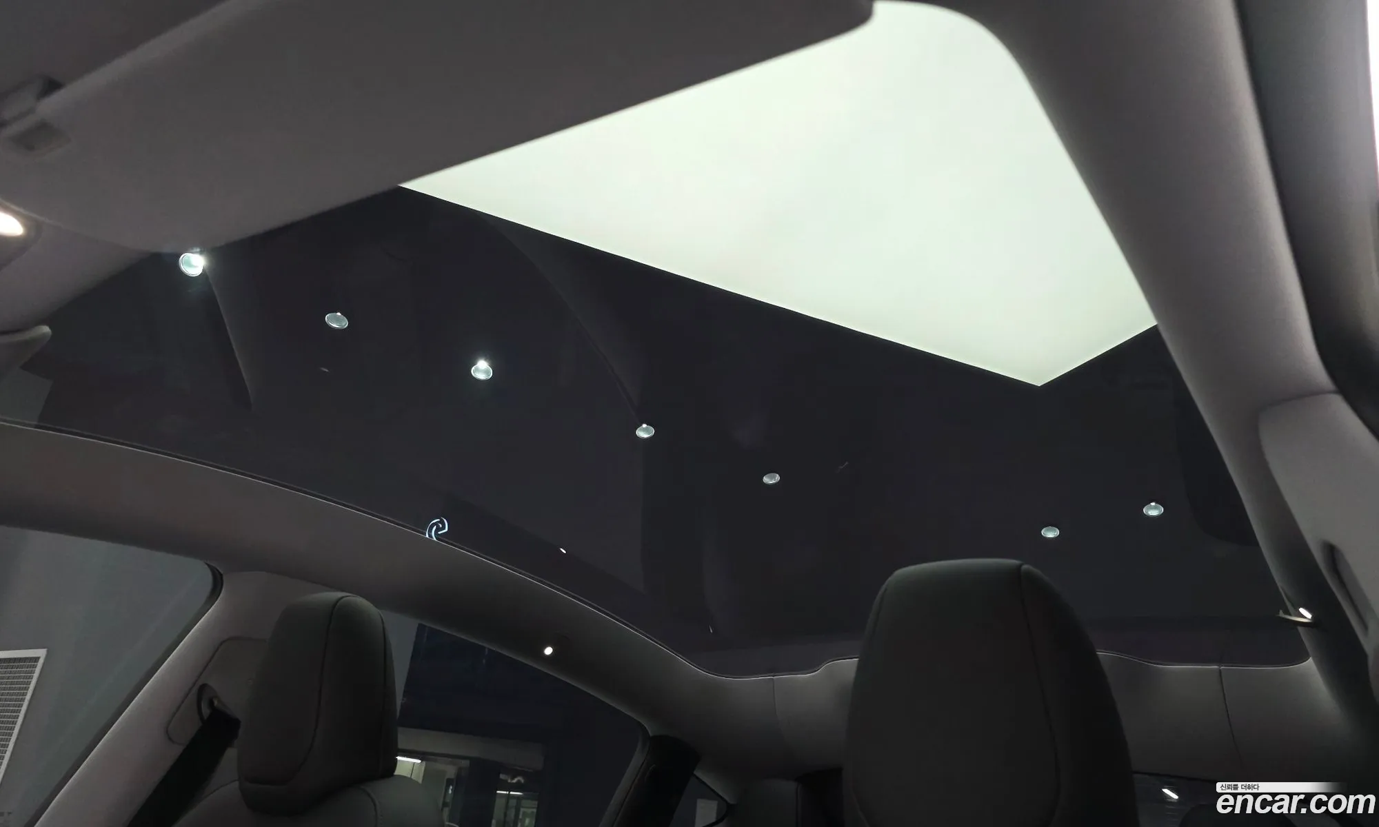 Tesla Model Y 2025 LRWYGCFJ6SC051971 — 11