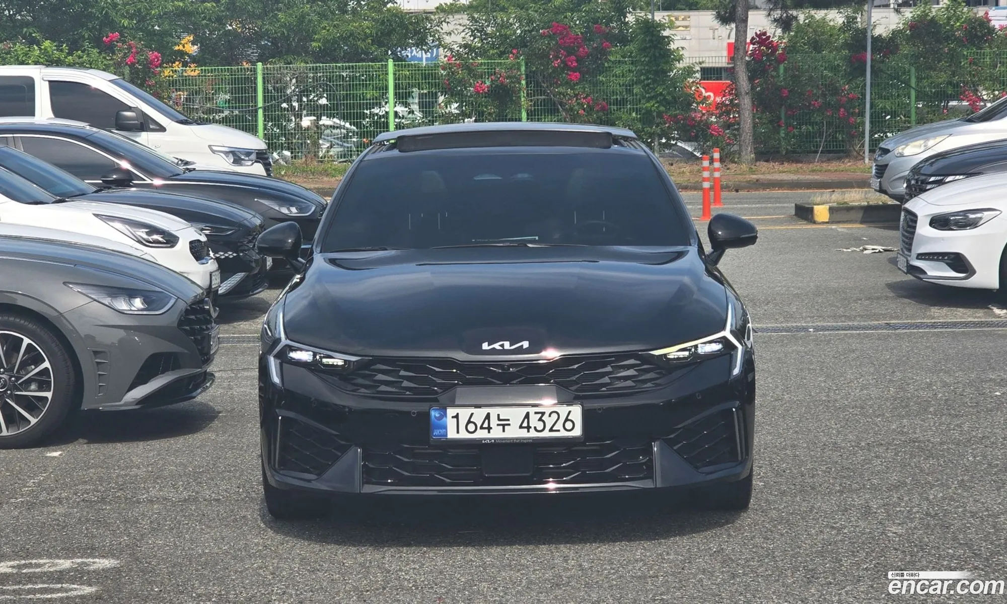 Kia K5 Hybrid 2024 — 3