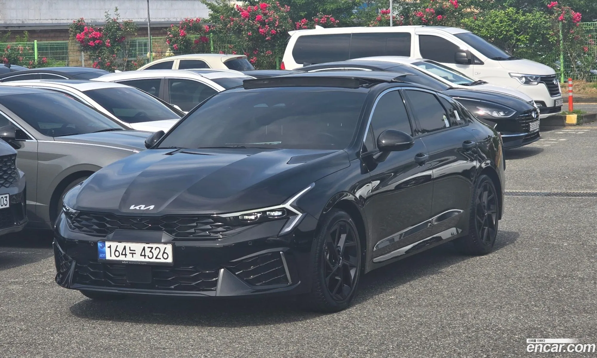 Kia K5 Hybrid 2024 — 2