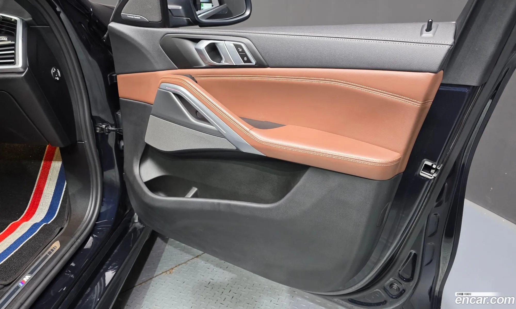 BMW X6 2023 WBAGT8106P9R76600 — 10