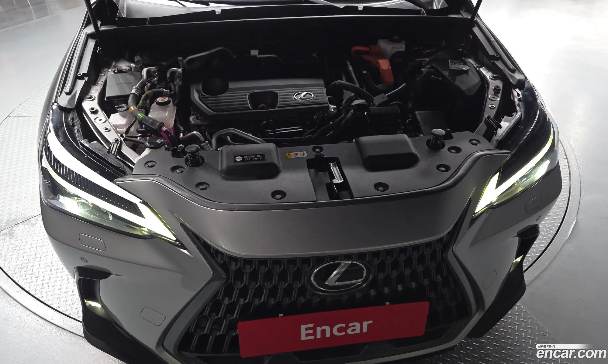 Lexus NX450h+ 2023 — 20