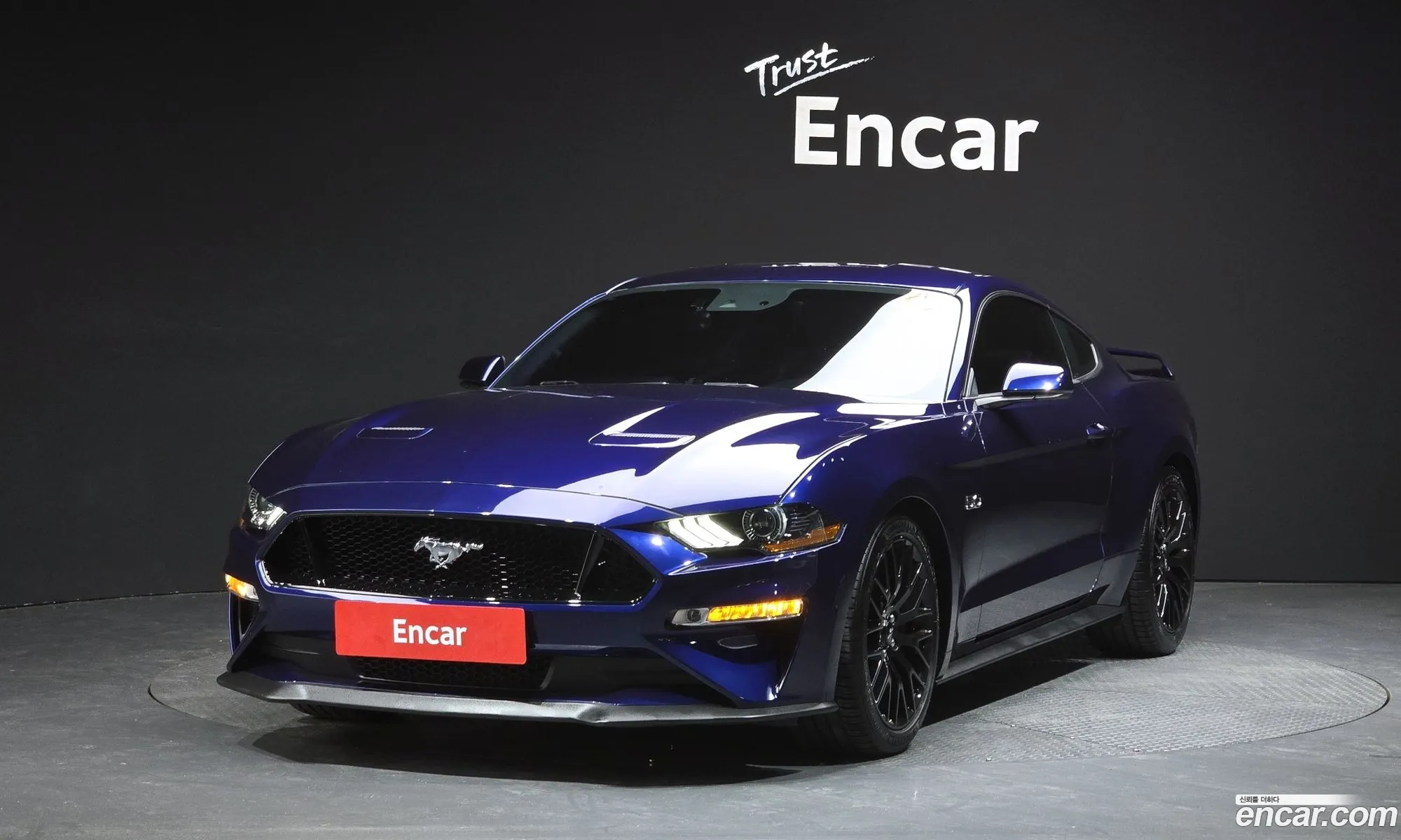 Ford Mustang 2019 1FA6P8CF2K5137764 — 14