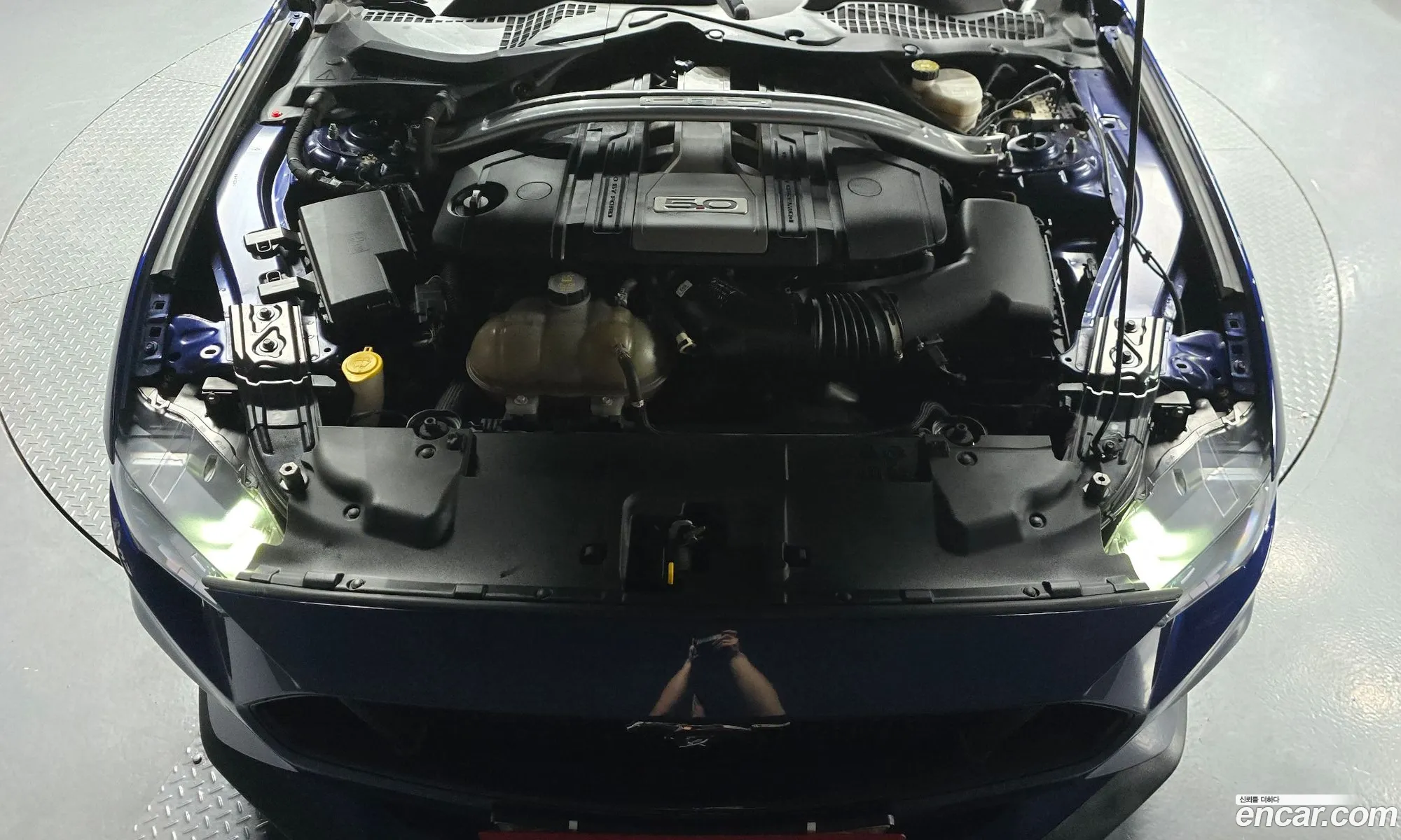 Ford Mustang 2019 1FA6P8CF2K5137764 — 24