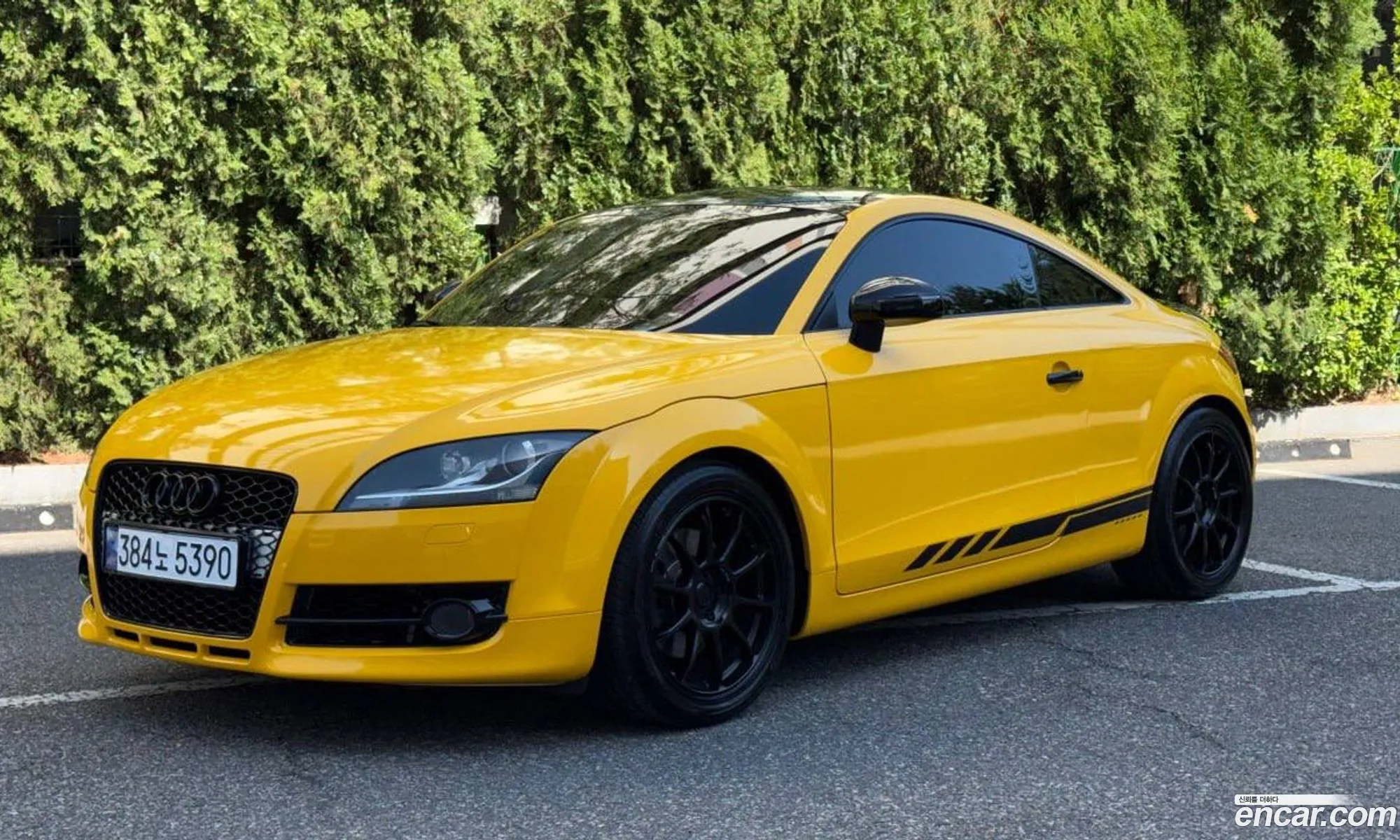 Audi TT 2007 — 17