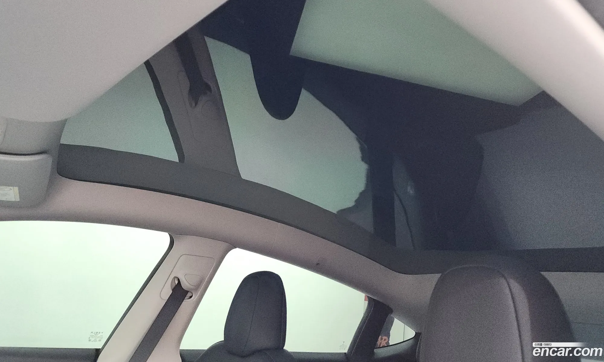 Tesla Model Y 2024 LRWYGCEL9RC564080 — 19