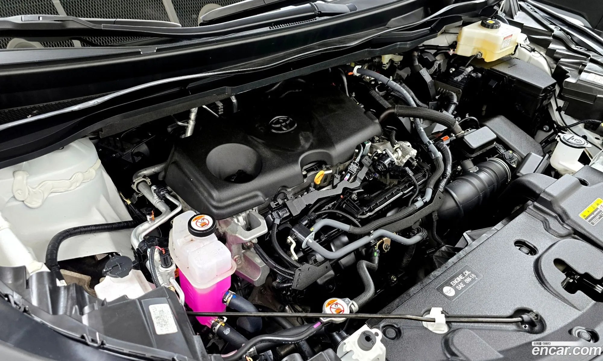 Toyota Sienna 2024 5TDGRKEC — 5