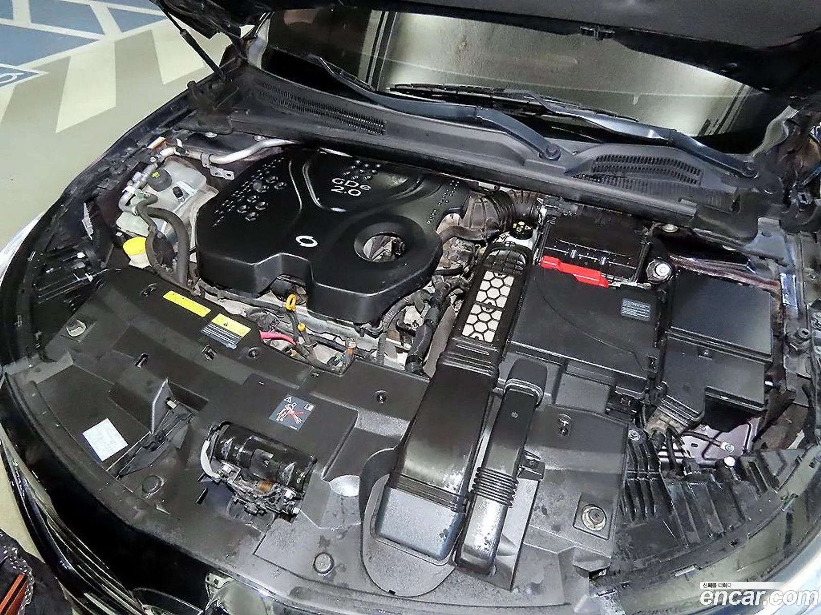 Renault Korea (Samsung) SM6 2017 — 5