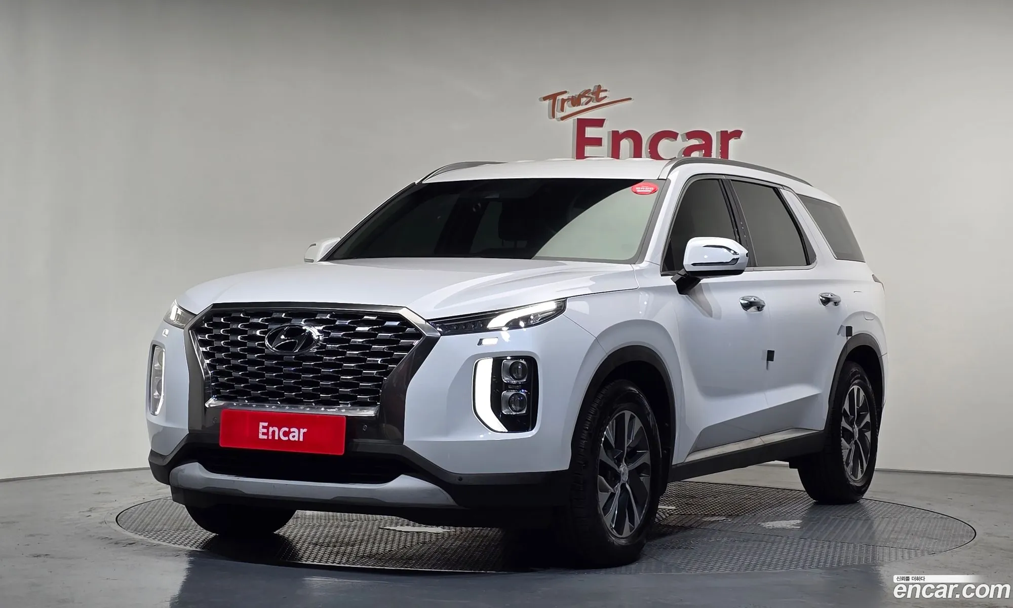 Hyundai Palisade 2019 — 3