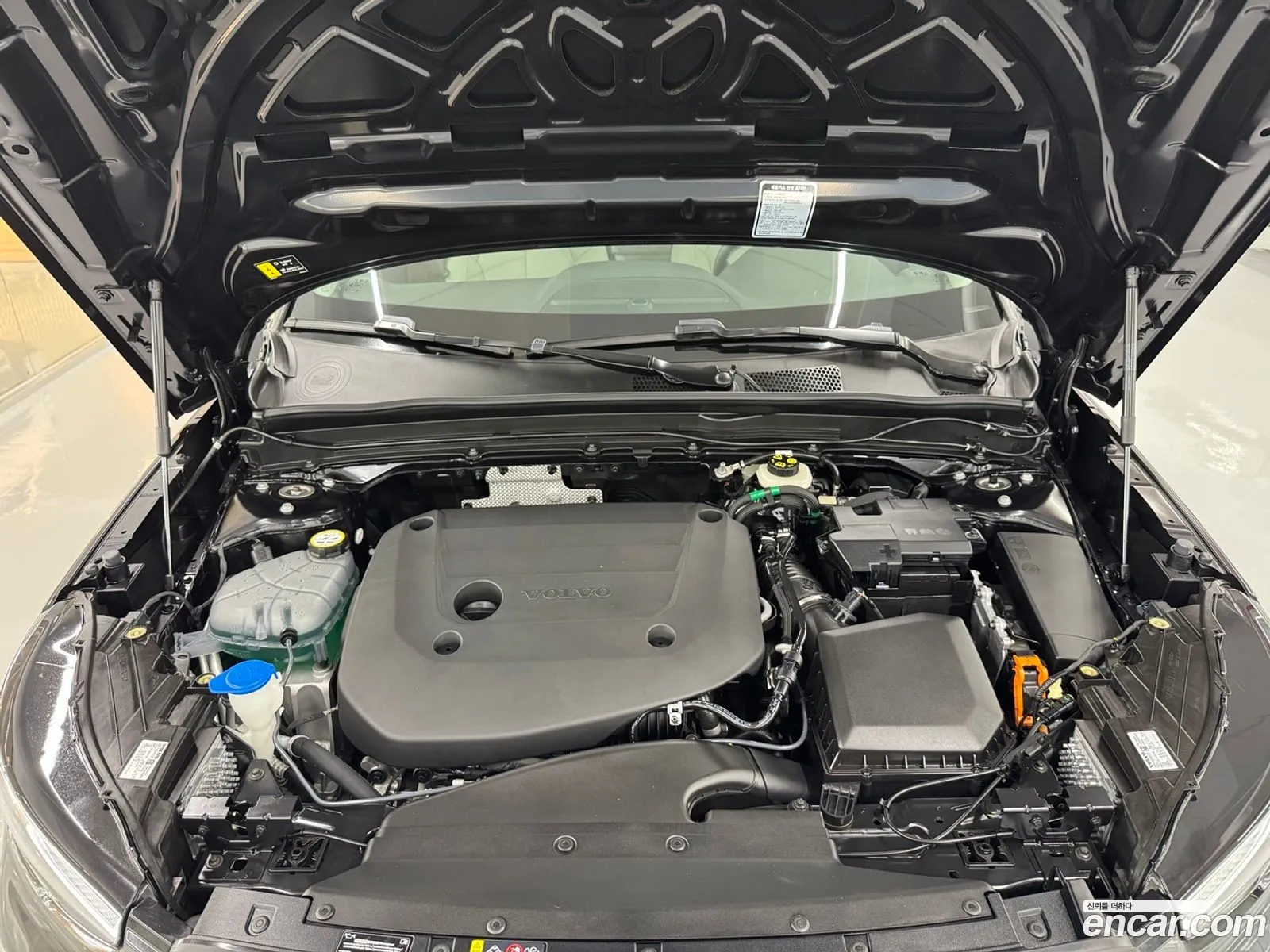Volvo XC40 2025 — 5