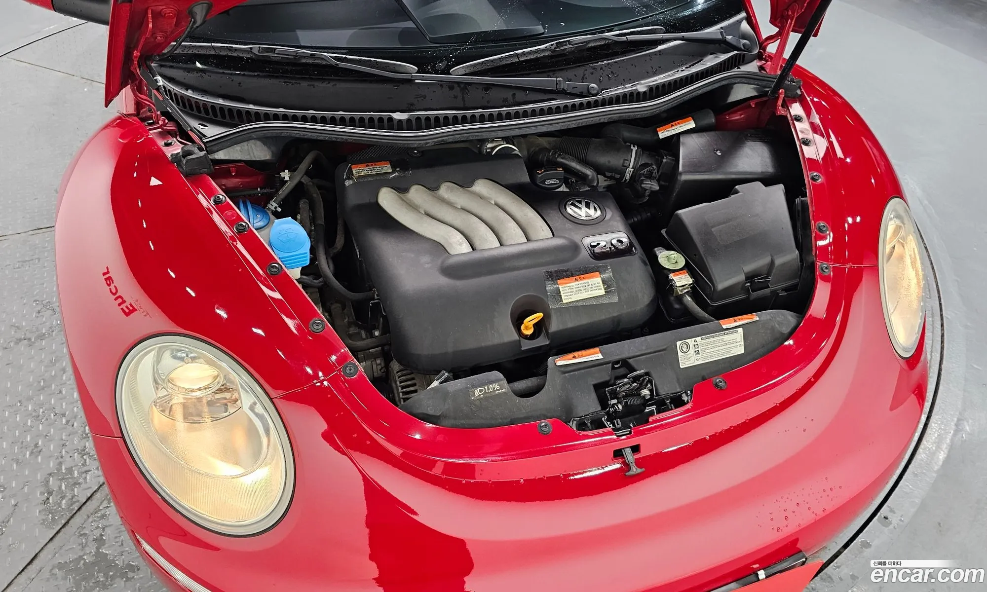 Volkswagen Beetle 2011 WVWZZZ9CZBM007587 — 12