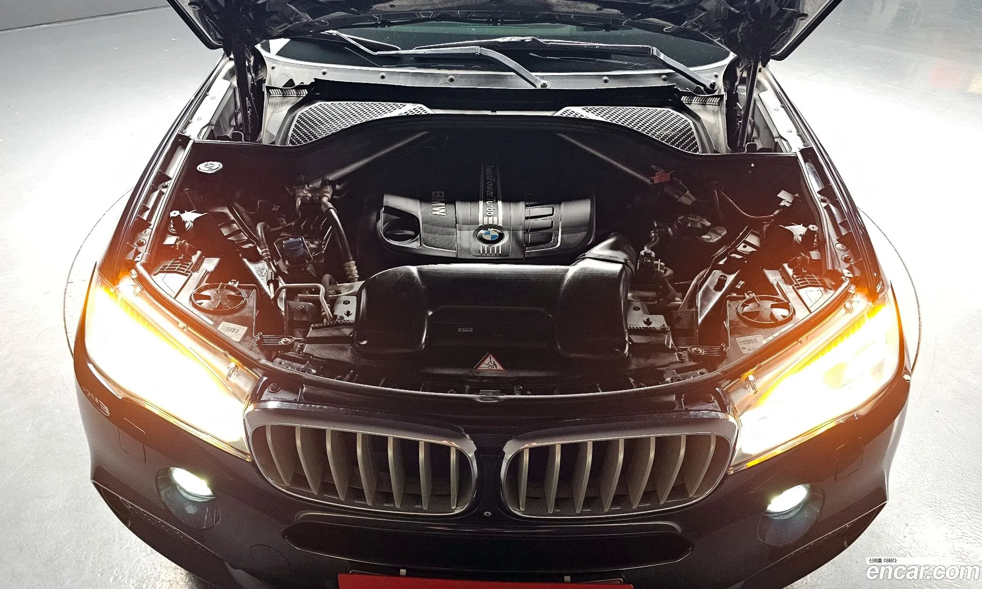BMW X5 2015 WBAKS6104F0N57102 — 10