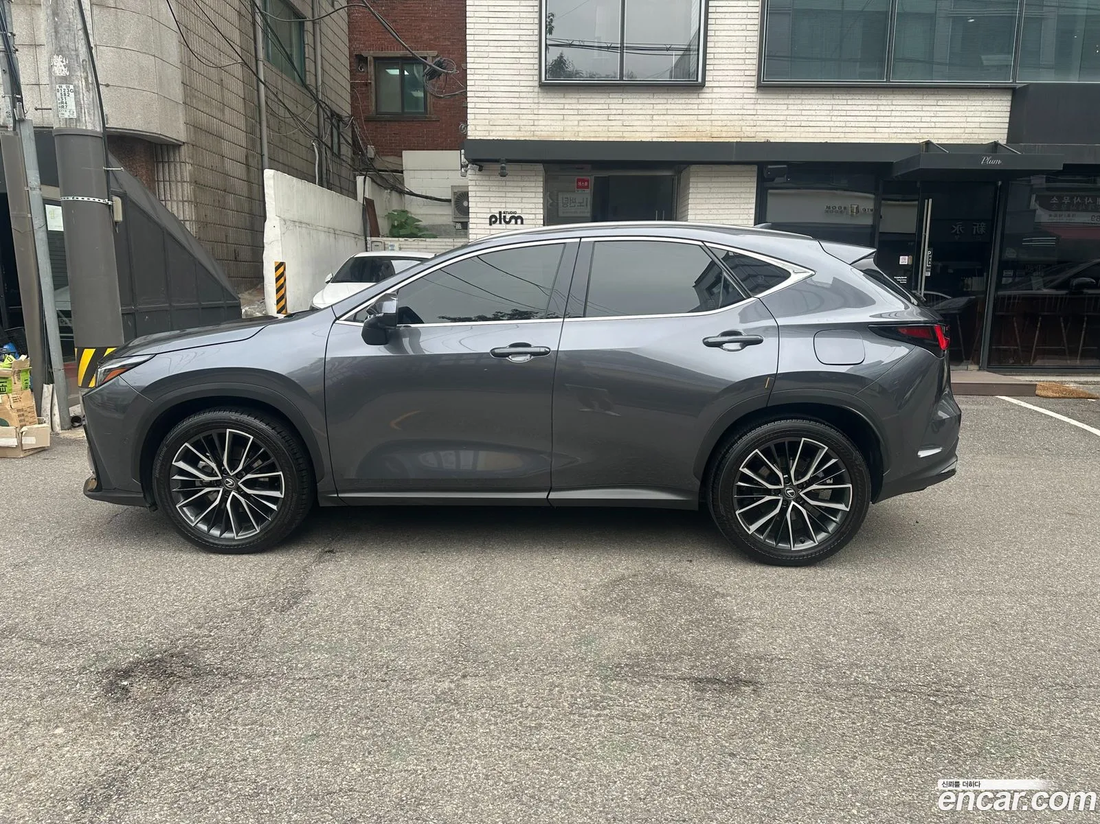 Lexus NX350h 2024 — 4