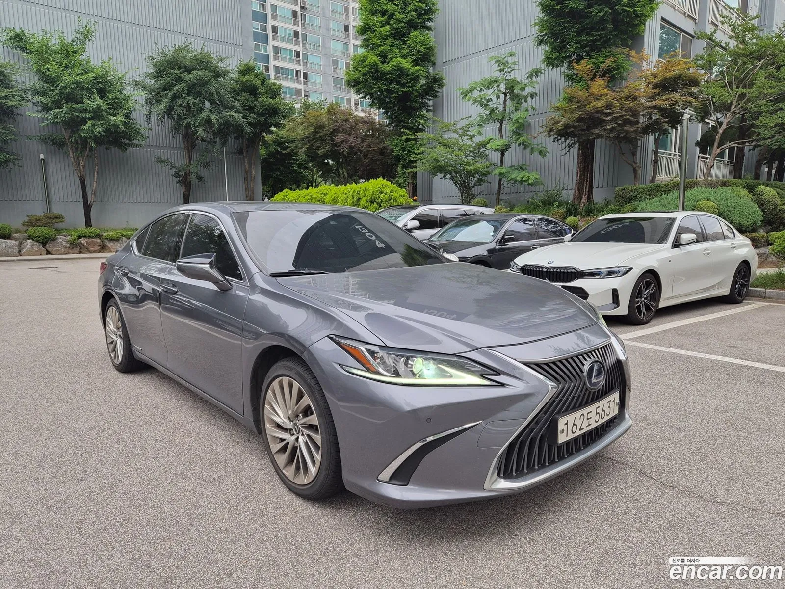 Lexus ES300h 7th Gen 2020 — 7