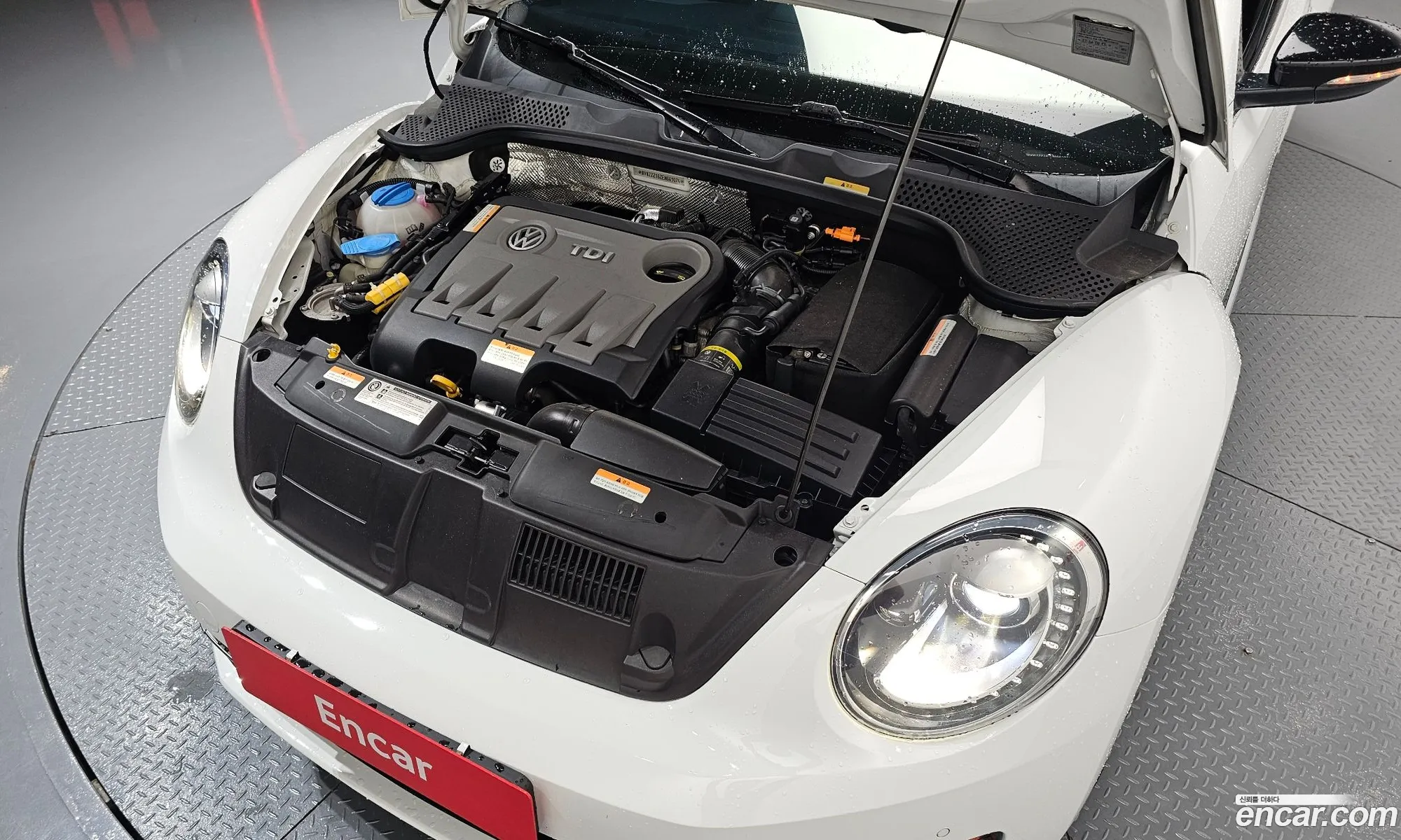 Volkswagen The Beetle
