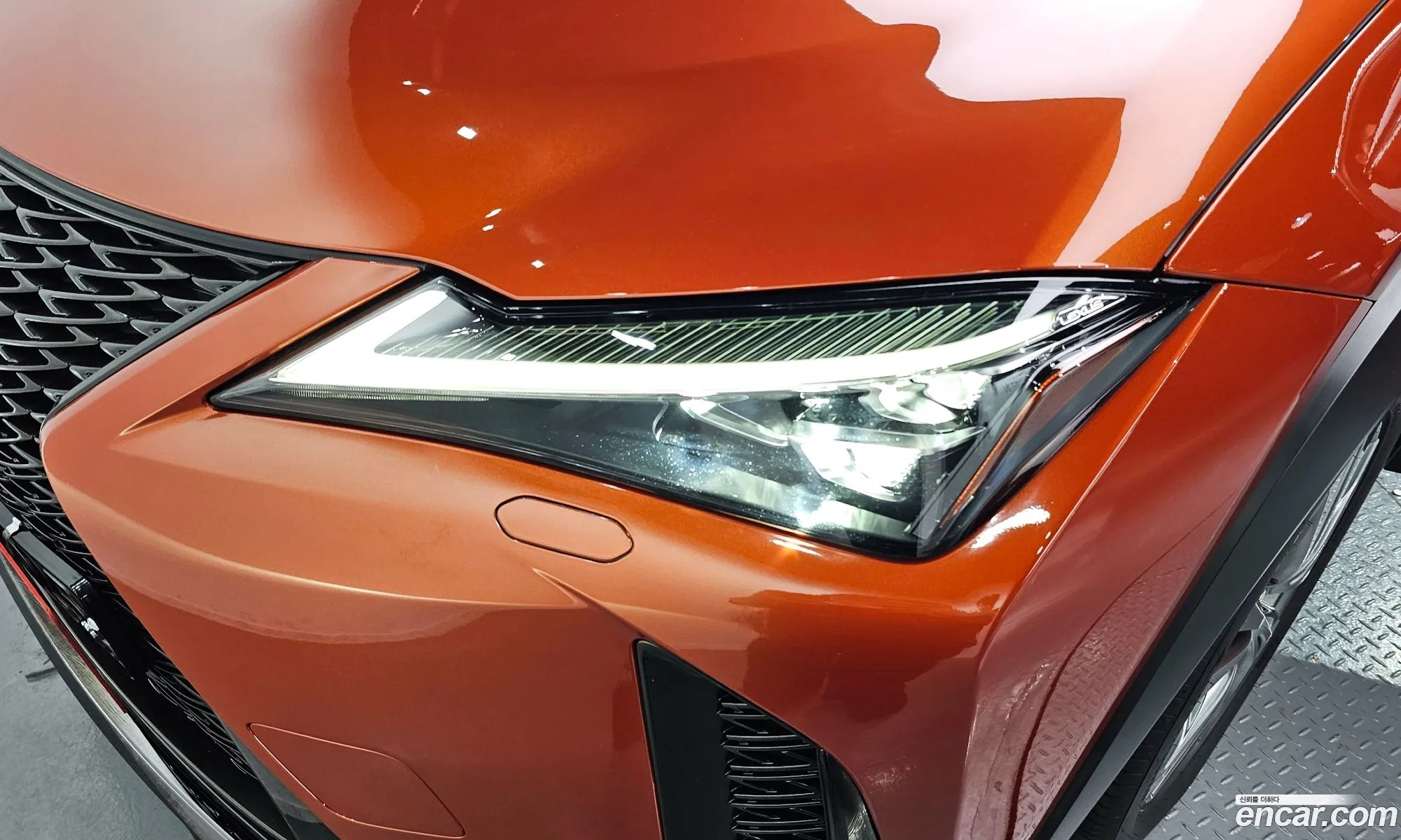 Lexus UX250h 2023 — 6