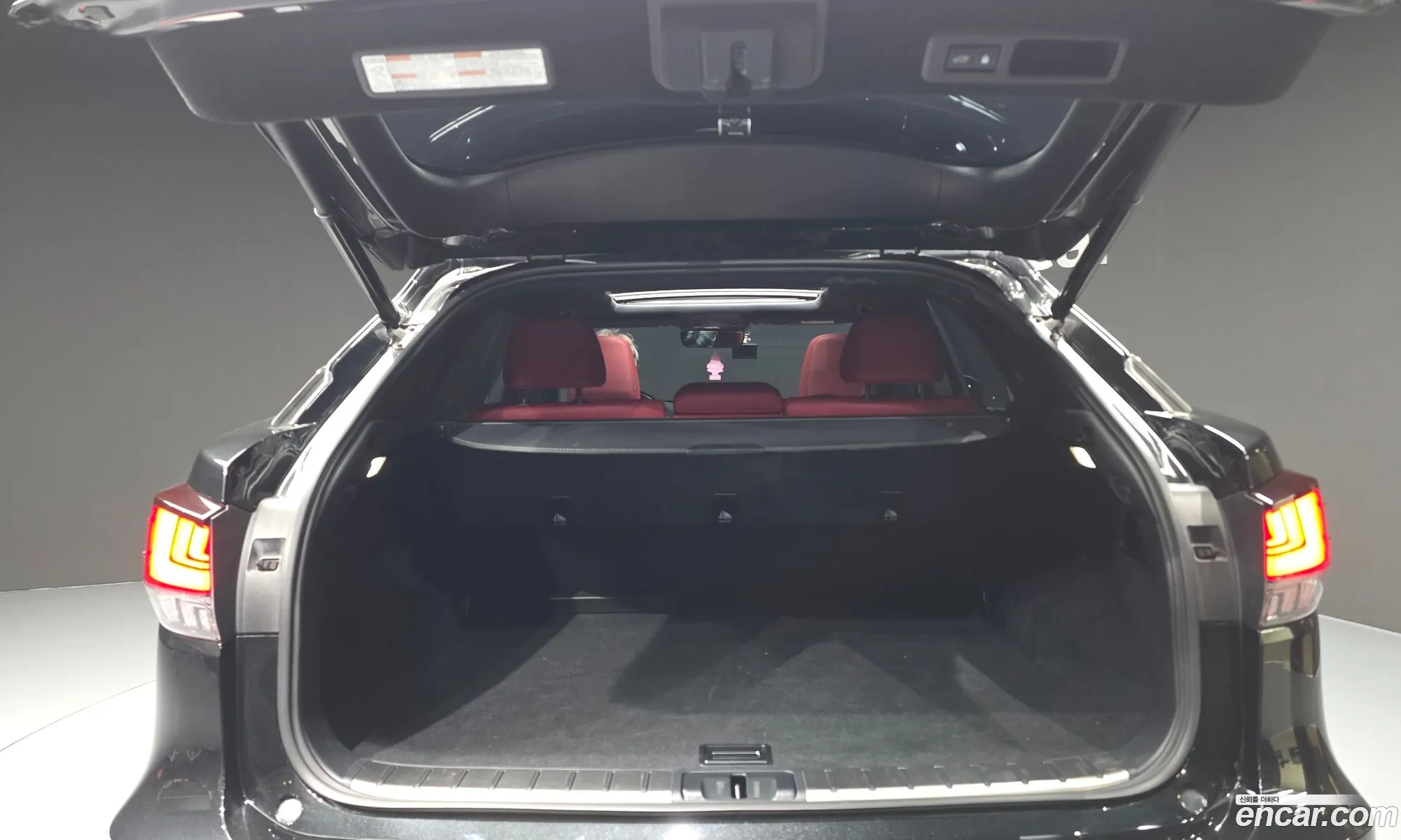 Lexus RX450h 2021 JTJBGMCAXM2067082 — 8