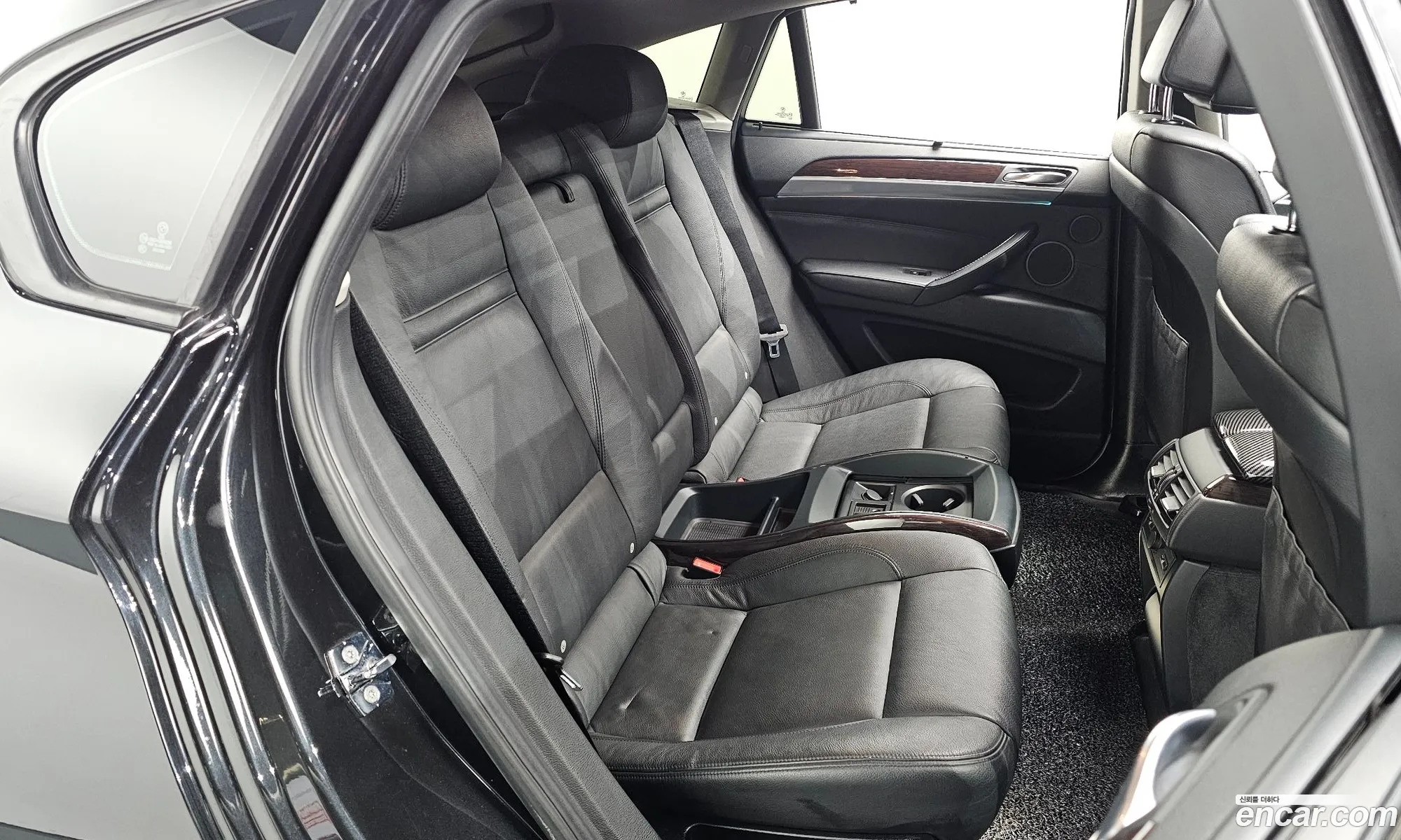 BMW X6 2009 WBAFG61009LW56179 — 13