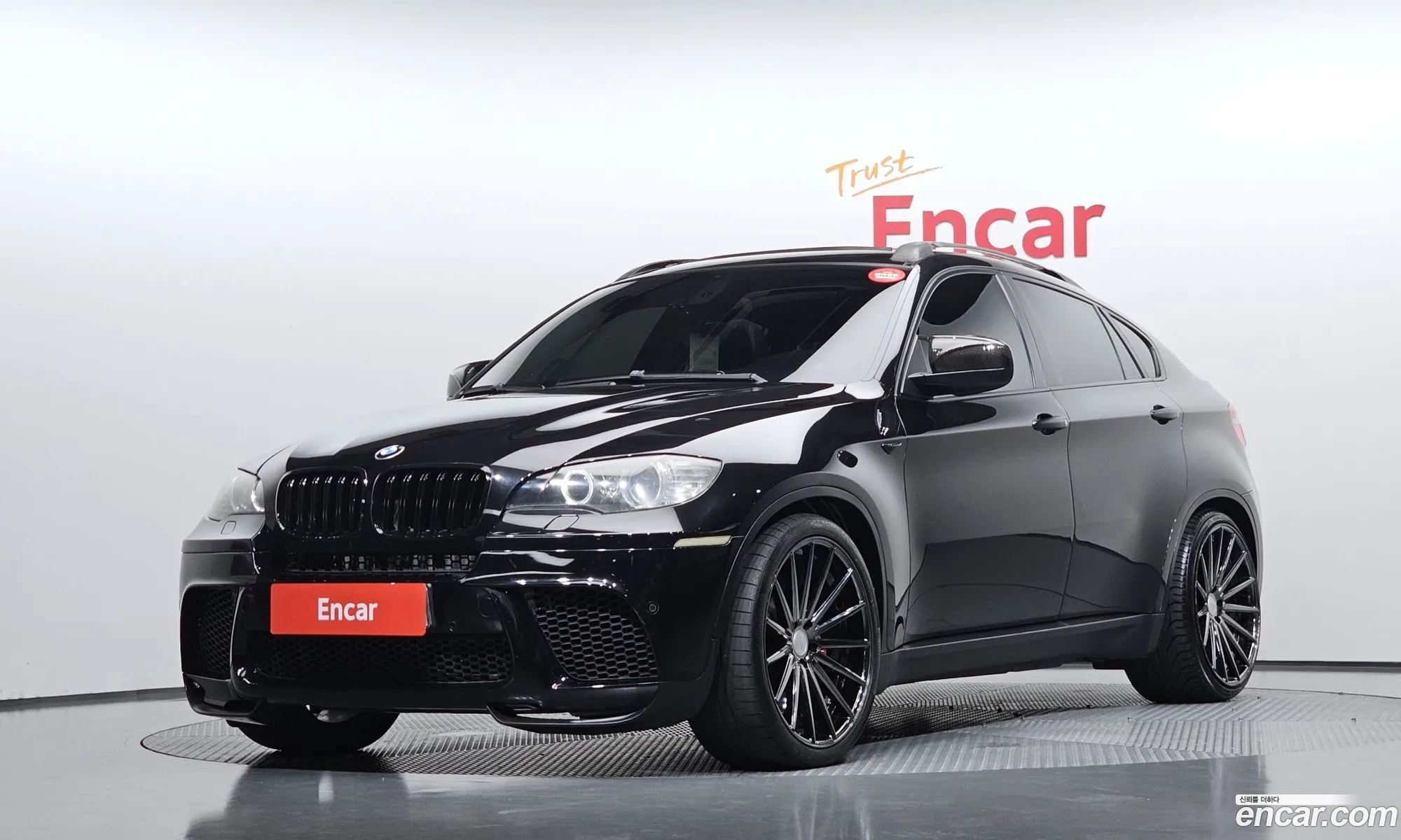 BMW X6 2009 WBAFG61009LW56179 — 9