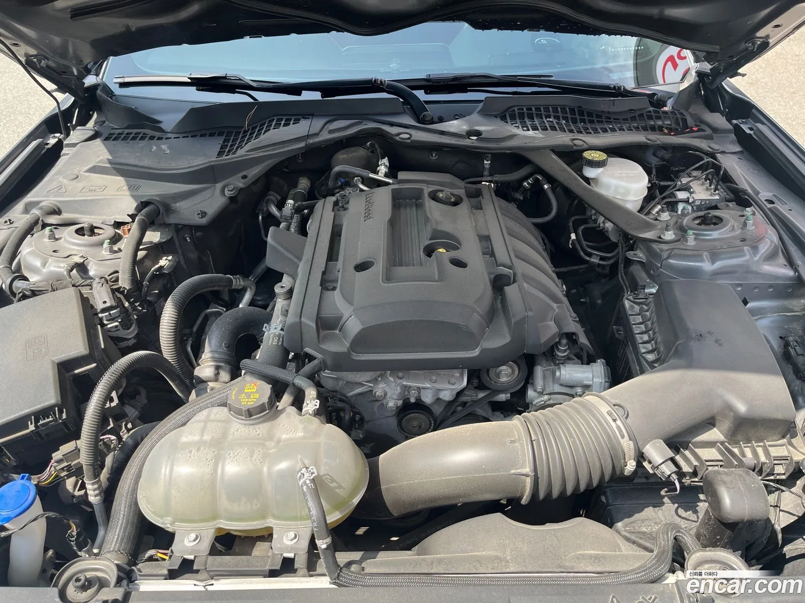 Ford Mustang 2022 — 2