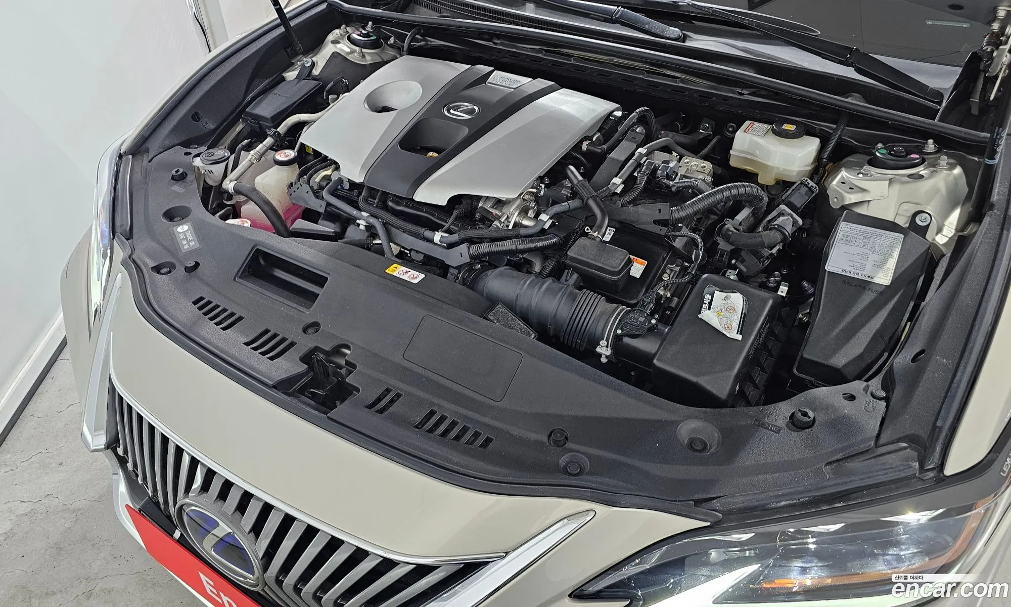 Lexus ES300h 7th Gen 2019 — 13