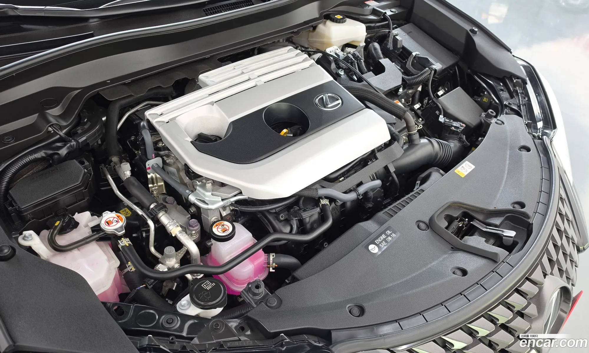 Lexus UX250h 2024 JTHP6JBH3R2186767 — 31
