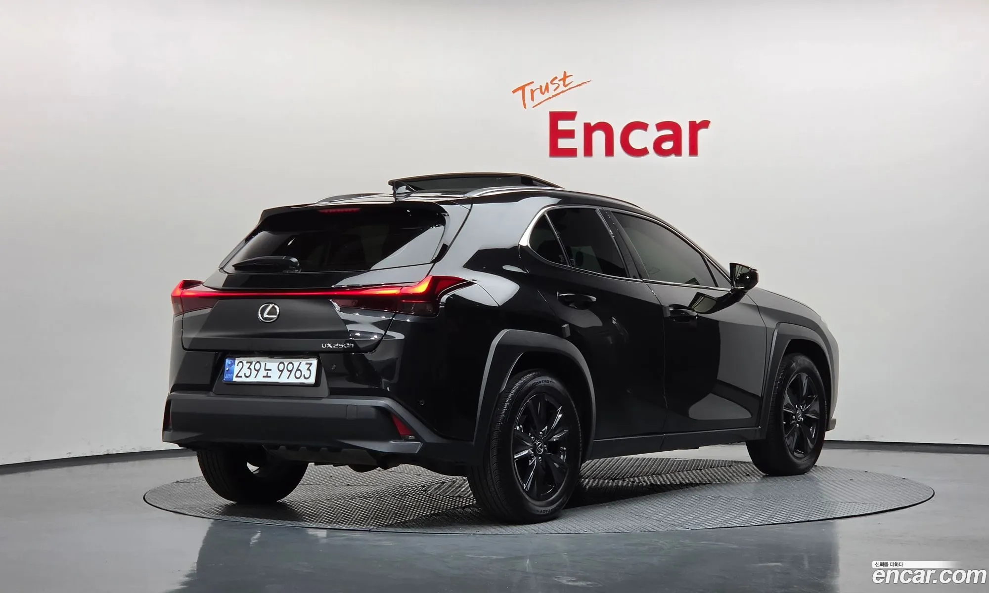 Lexus UX250h 2024 JTHP6JBH3R2186767 — 24