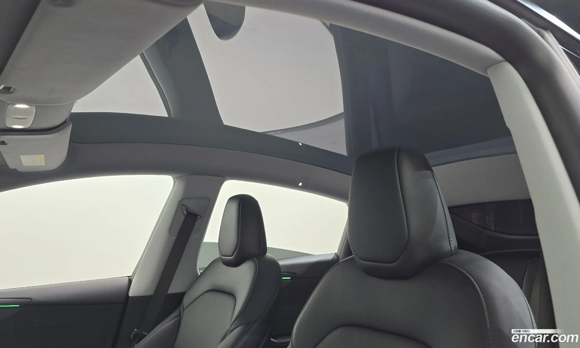 Tesla Model Y 2025 LRWYGCEK3SC285835 — 4