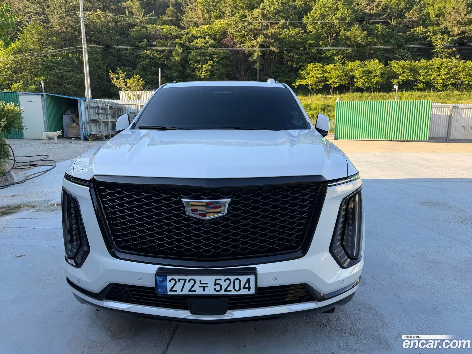 Cadillac Escalade 2025 — 8