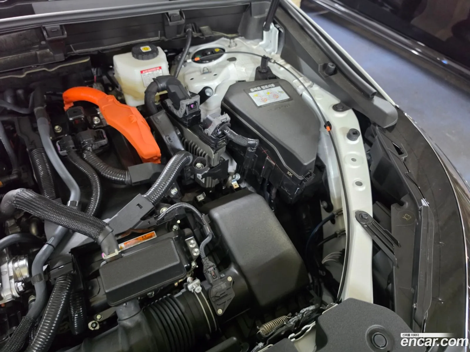 Lexus NX350h 2025 — 17