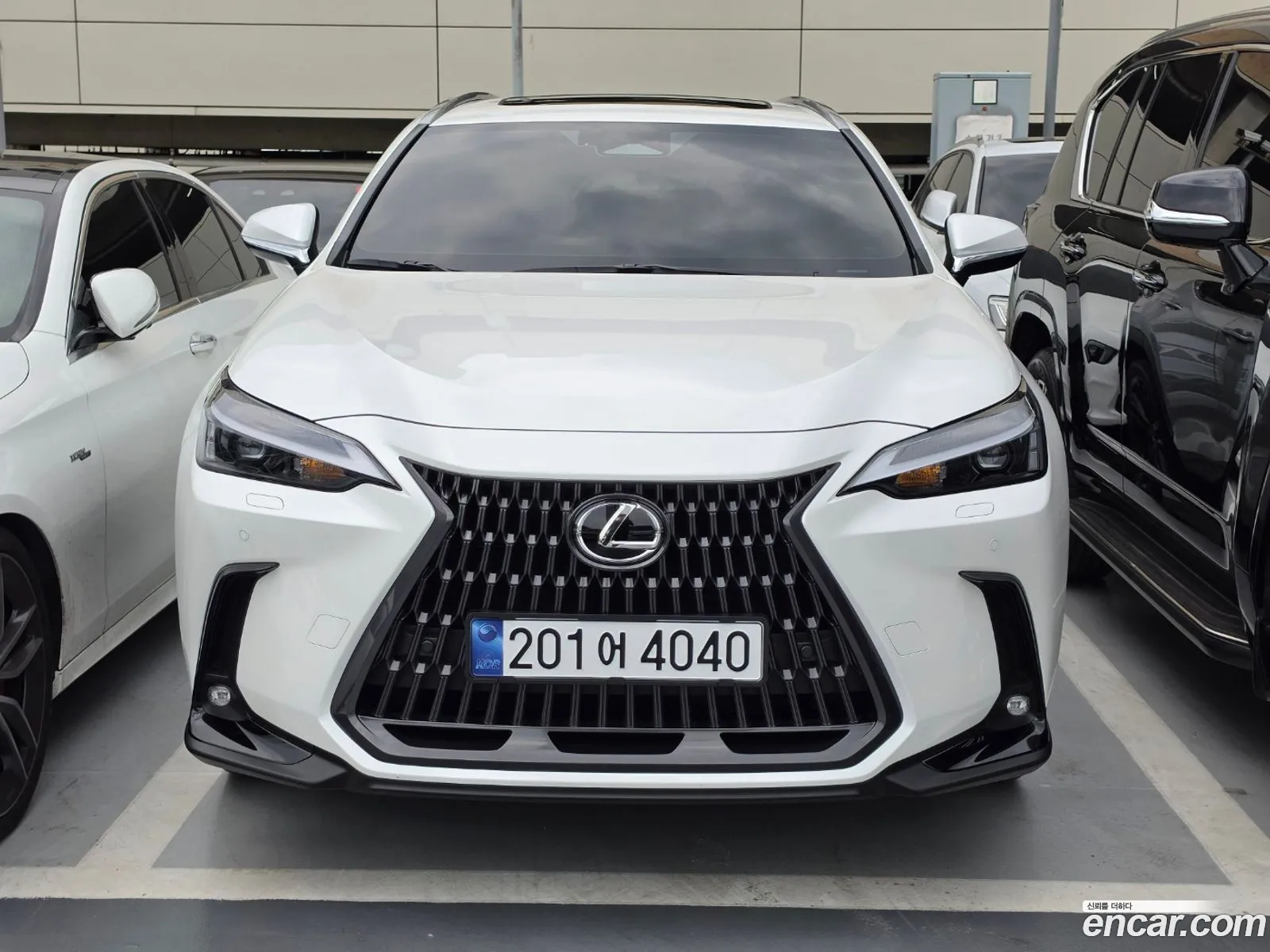 Lexus NX350h 2025 — 15