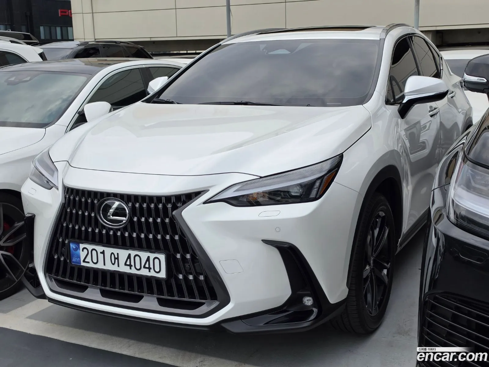 Lexus NX350h 2025 — 3