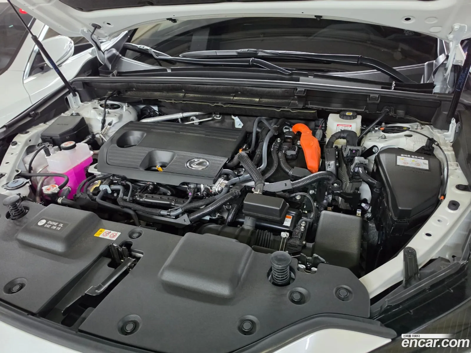 Lexus NX350h 2025 — 14
