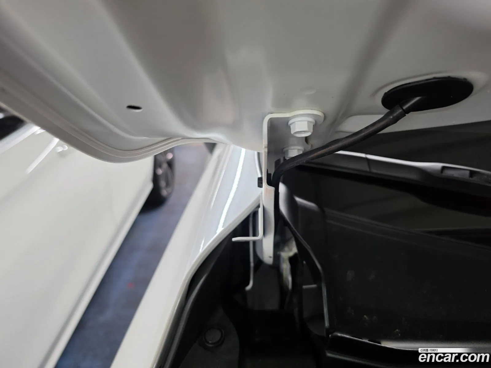 Lexus NX350h 2025 — 5