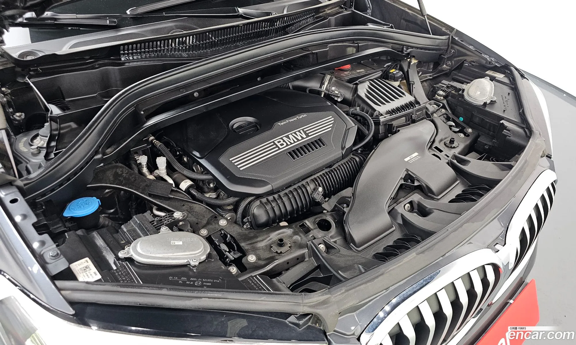 BMW X1 2022 WBA11DG08N5V08609 — 2