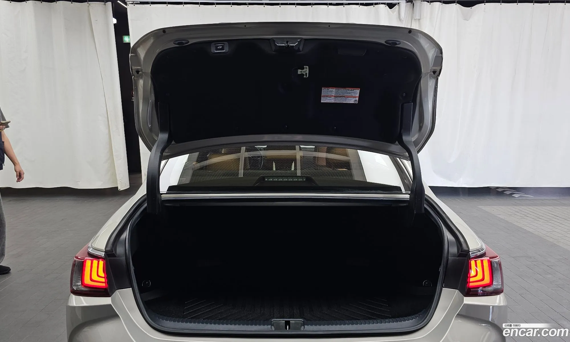 Lexus ES300h 7th Gen 2018 JTHB21B19K2005301 — 6