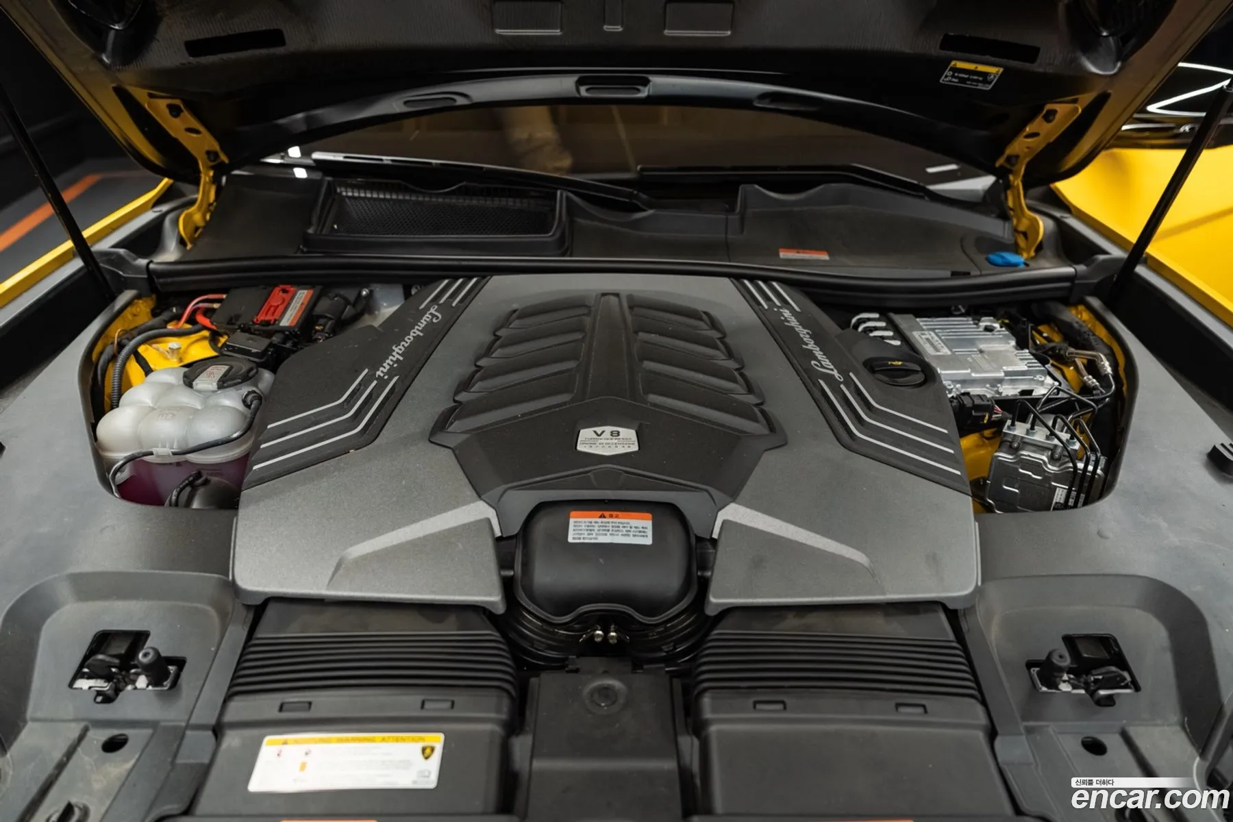 Lamborghini Urus 2024 — 2