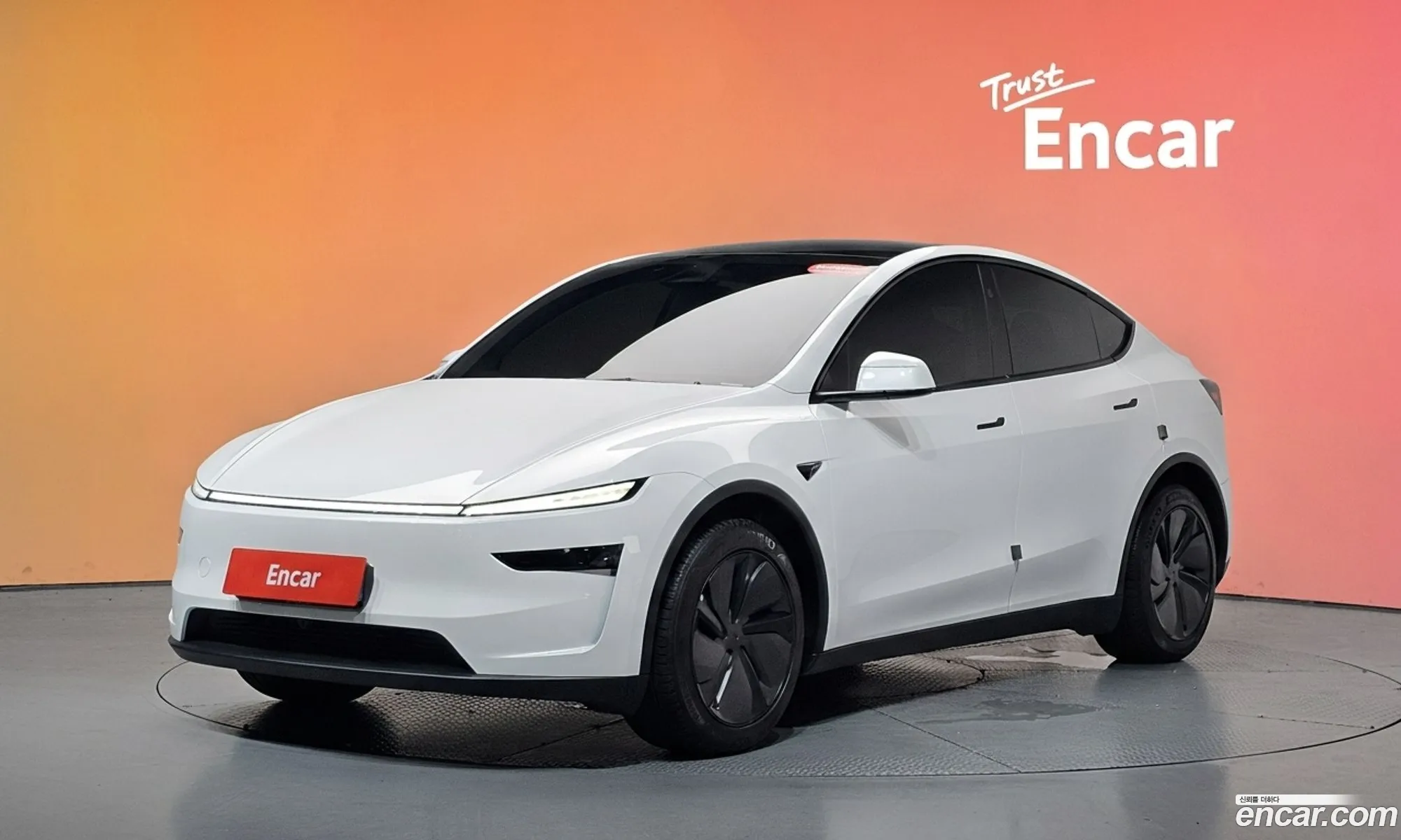 Tesla Model Y 2025 LRWYGCFJXSC053450 — 10