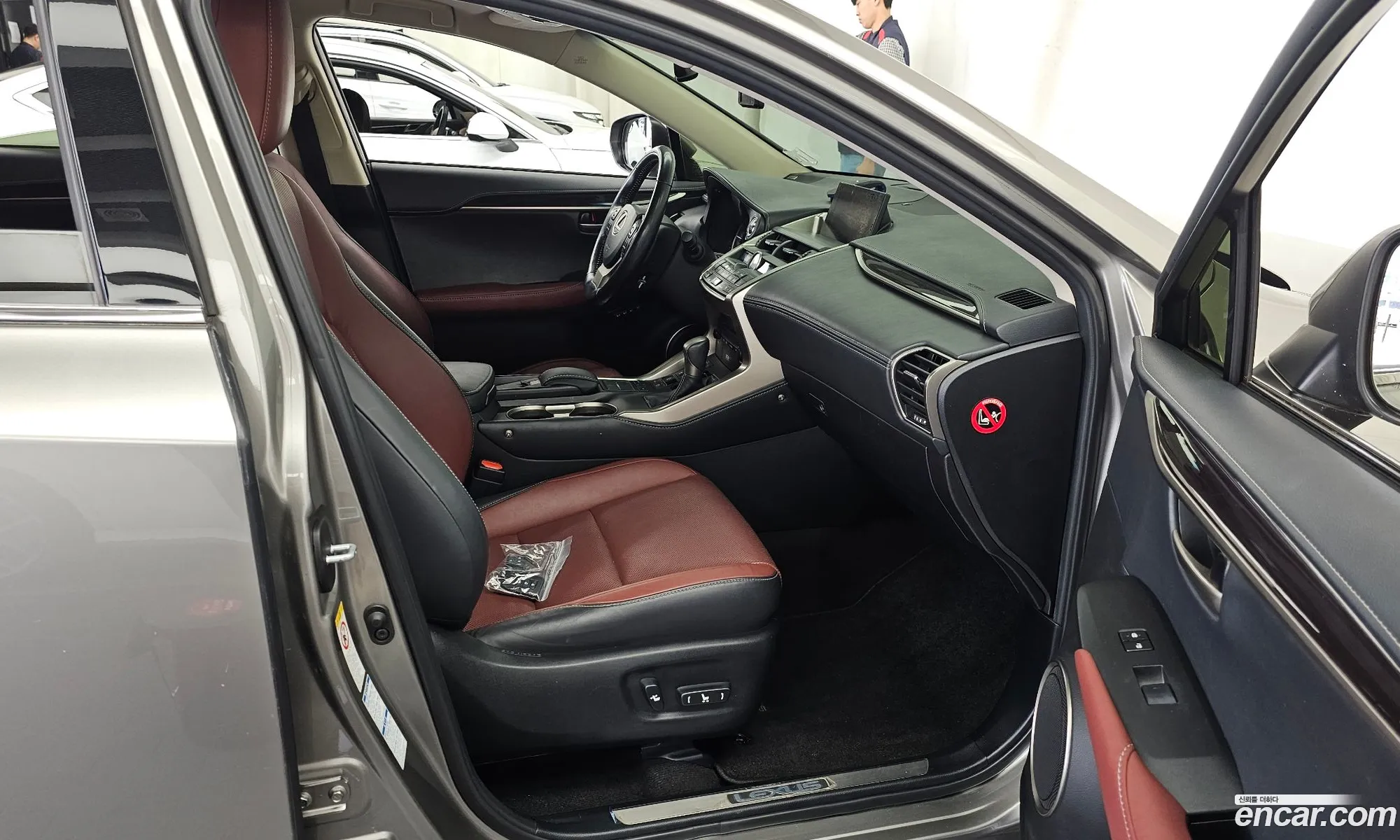 Lexus NX300h 2015 JTJBJRBZ2F2029371 — 18