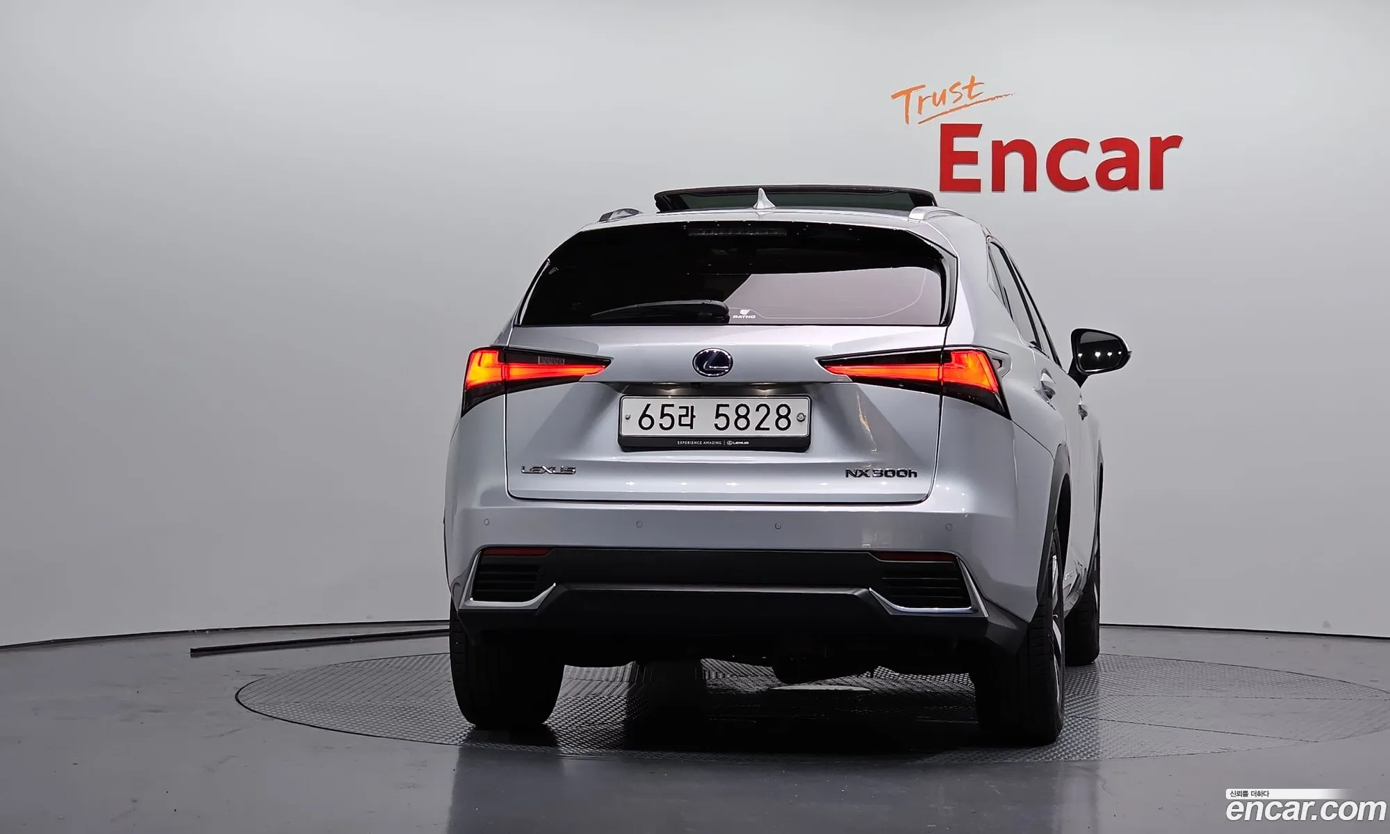 Lexus NX300h 2018 JTJBJRBZ7K2105757 — 13