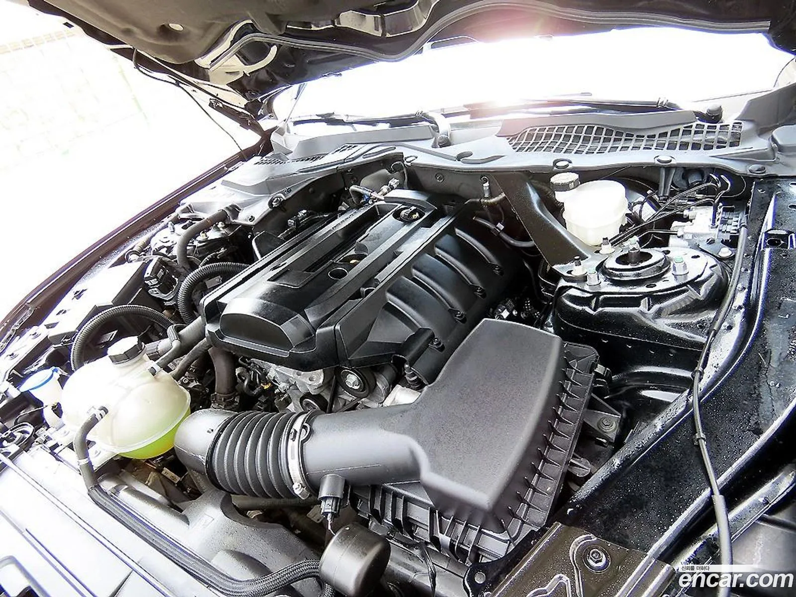 Ford Mustang 2023 — 2