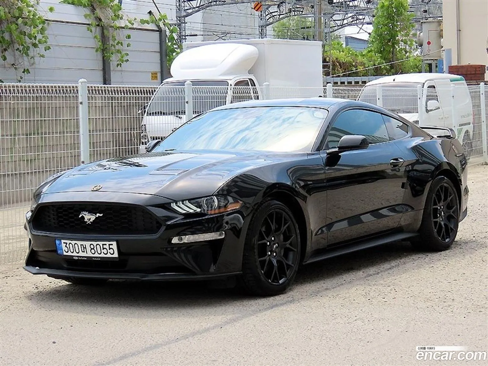 Ford Mustang 2023 — 14