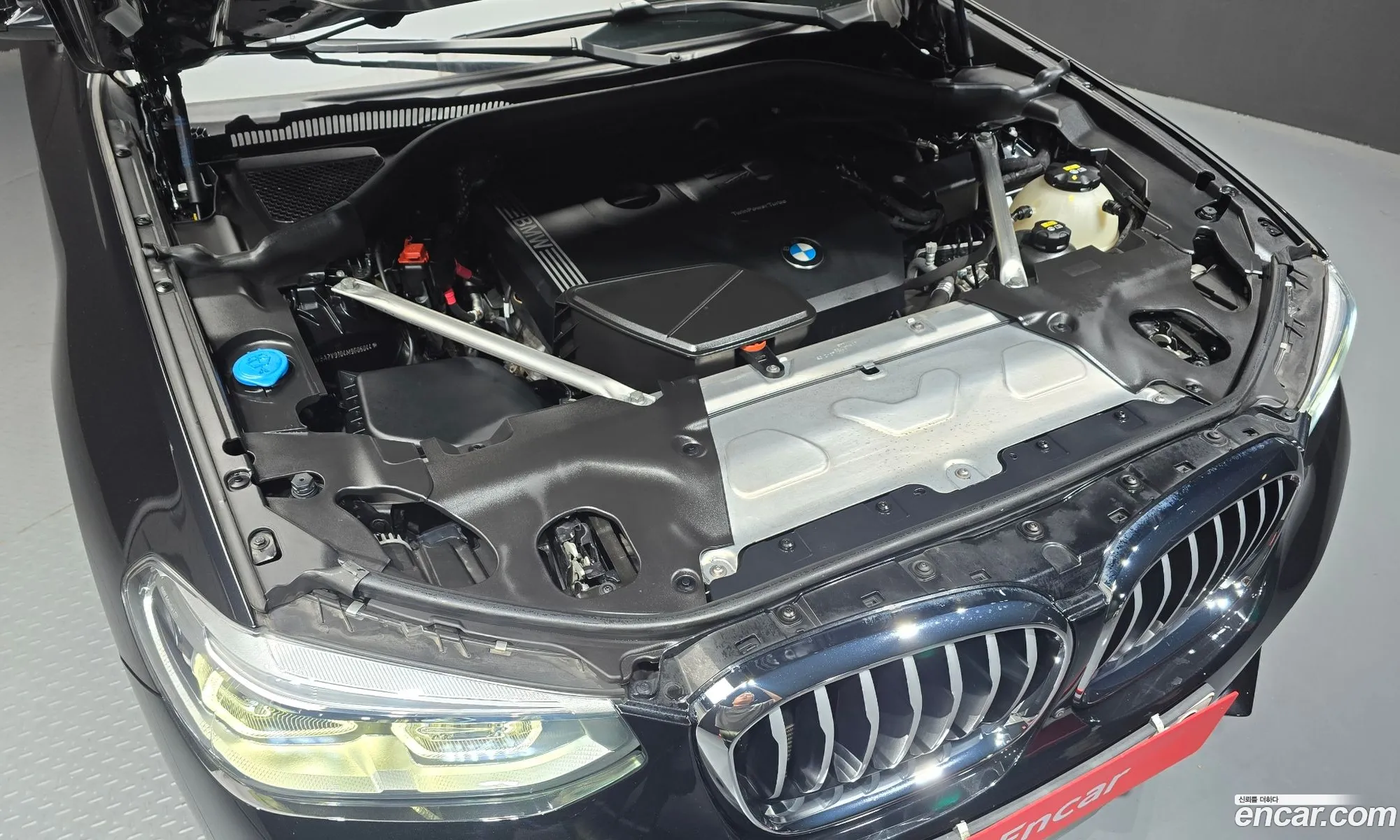 BMW X4 2021 WBA2V9104M9G06044 — 10