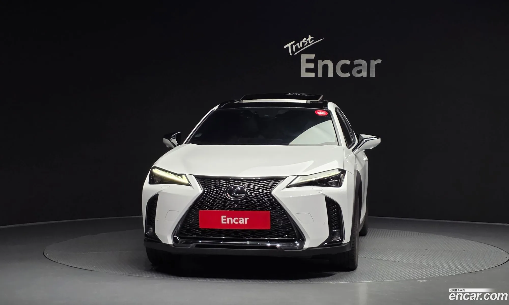 Lexus UX250h 2023 — 6