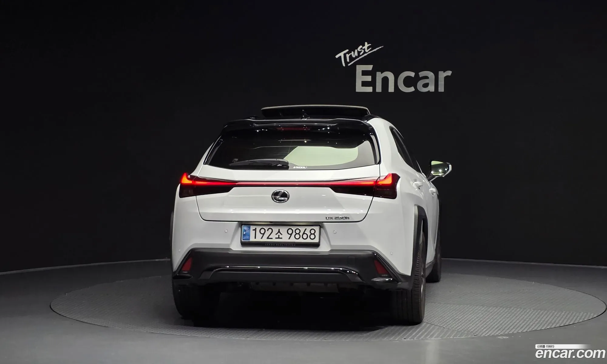 Lexus UX250h 2023 — 10