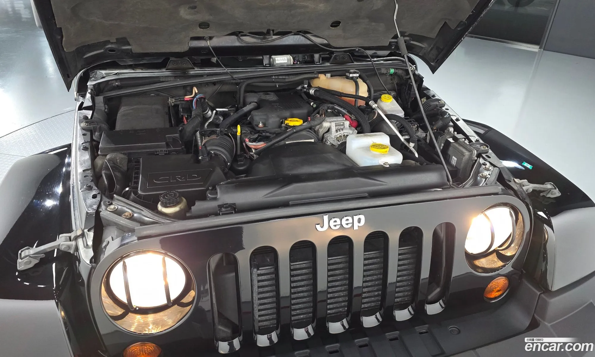 Jeep Wrangler 2012 1C4BJWE56CL249435 — 15