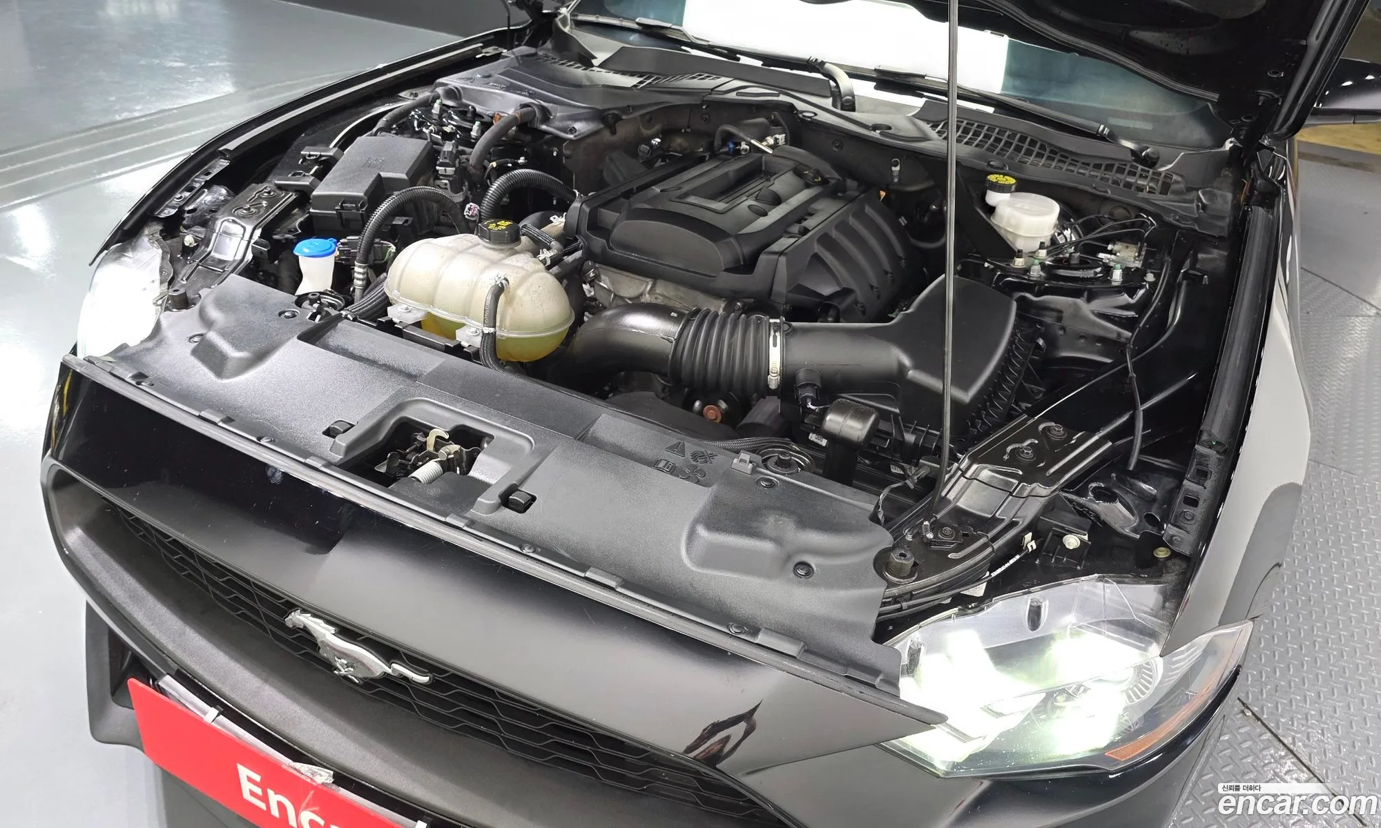 Ford Mustang 2022 — 12