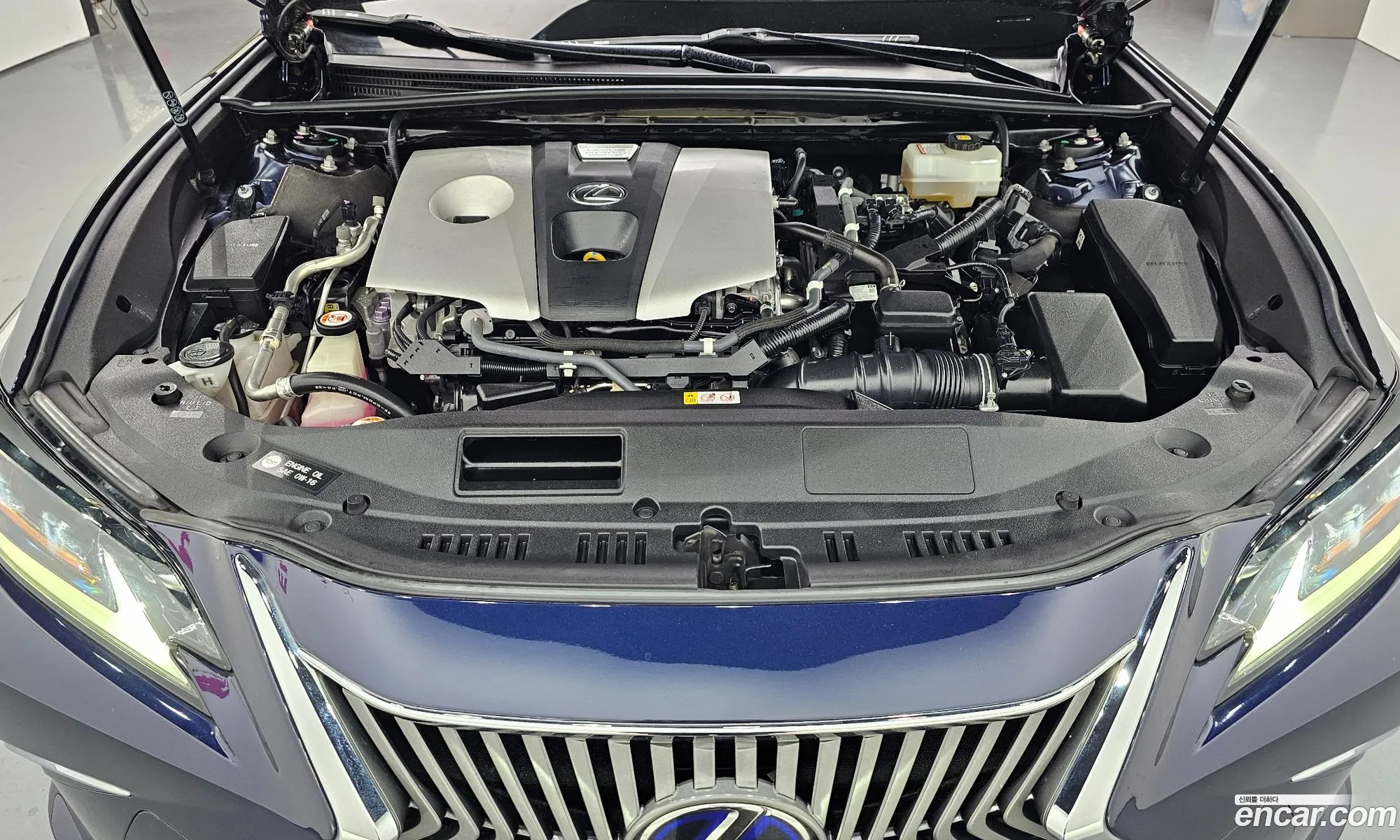 Lexus ES300h 7th Gen 2019 — 12